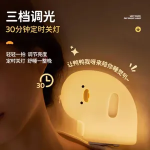lamp sillicon view